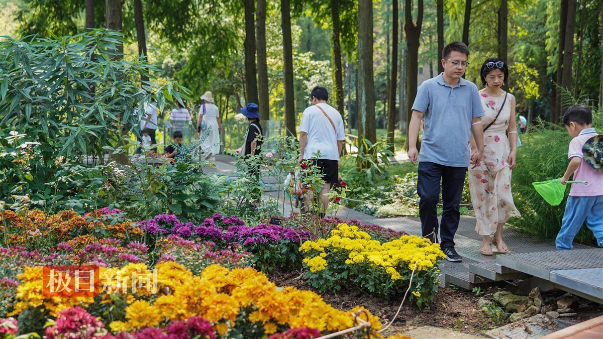 银河在线游戏大全